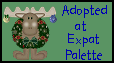 Adopted at Expat Palette