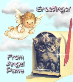Greetings! From Angel Paws