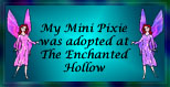 My Mini Pixies were adopted at The Enchanted Hollow