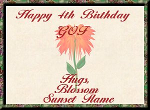 Happy 4th Birthday GOF - Hugs, Blossom Sunset Flame