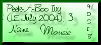 Peek-A-Boo Ivy (LE July 2004) #3 Mousie - WOSIB