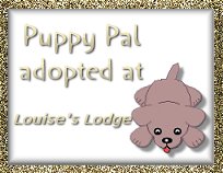 Puppy Pal adopted at Louise's Lodge
