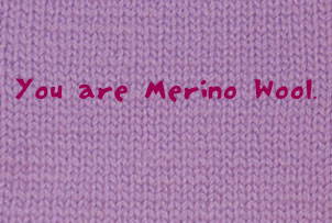 You are Merino Wool