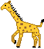 Toy giraffe