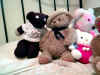 Wide-shot of Teddy, Nicholas, Peace, Hello Kitty