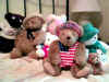 Teddy, Nicholas, Peace, Hello Kitty, Christopher, Mr. Snowman, and little Jasper