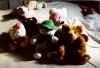 Mr. Snowman, Christopher, Hello Kitty, Teddy, Peace, Sherbet, and Long John Sleepyhead
