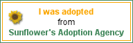 I was adopted from Sunflower's Adoption Agency