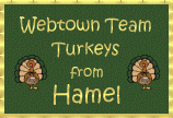 Webtown Team Turkeys from Hamel