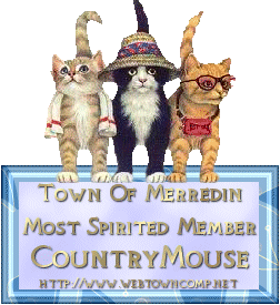 Town of Merredin - Most Spirited Member - CountryMouse