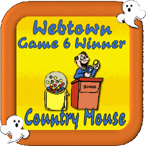 Web Town Game 6 Winner - Bingo - CountryMouse