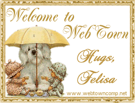 Welcome to Web Town - Hugs, Felisa