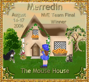 Merredin NVE Team Final Winner August 14-17, 2006 - The Mouse House