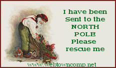 I have been Sent to the NORTH POLE. Please rescue me.