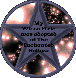 My Wicca Pixies were adopted at The Enchanted Hollow